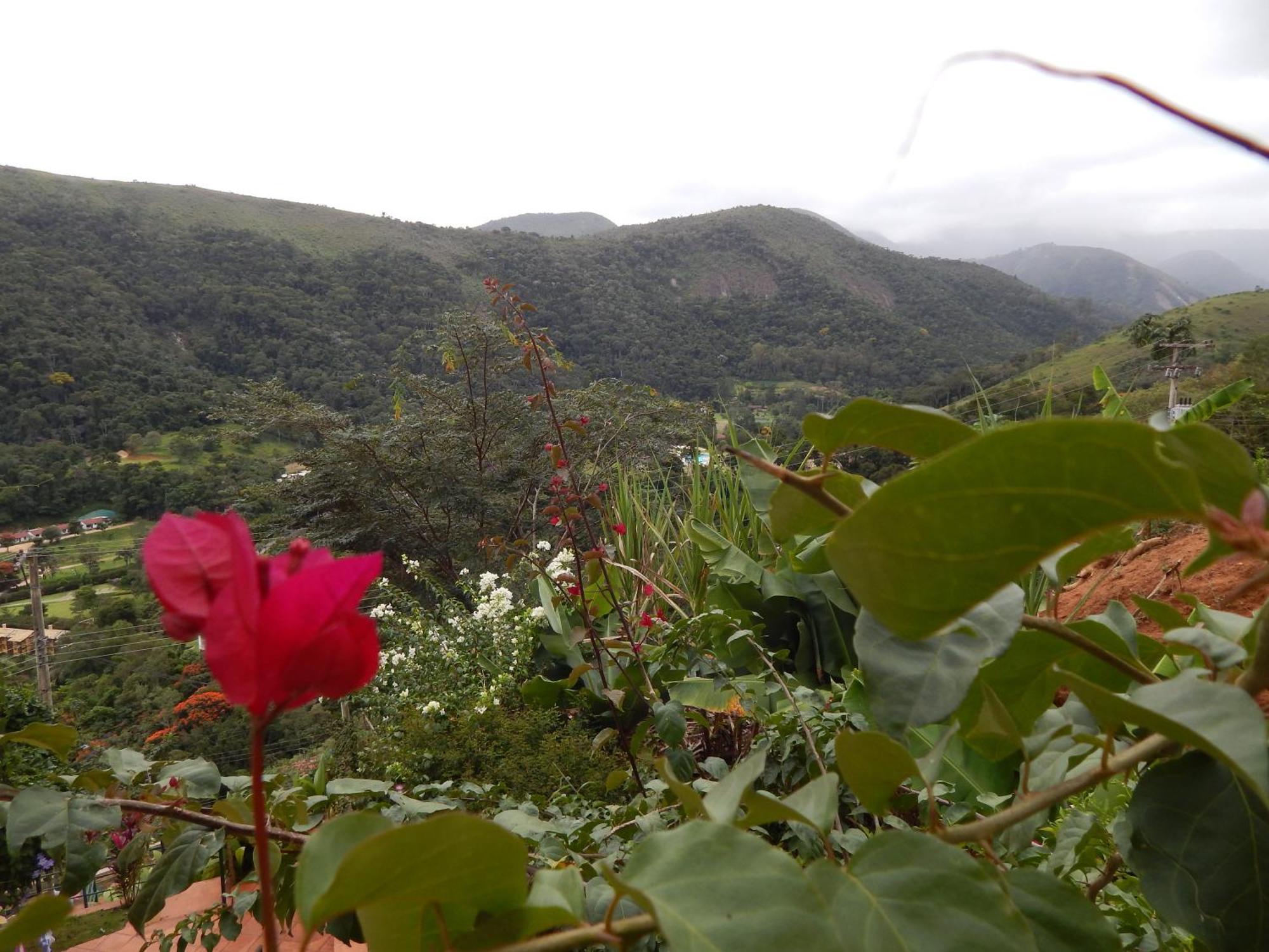 Pousada Quinta Do Alto Itaipava Ruang foto